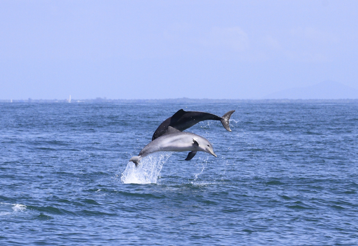 Audiência pública na Alep debate oceanos e sustentabilidade no litoral do Paraná Objetivo é construir estratégias para conciliar desenvolvimento econômico, conservação ambiental e qualidade de vida conforme a Agenda 2030